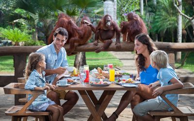Rafting Ayung + Breakfast with Orangutan